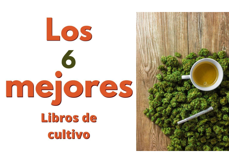 Los 6 mejores libros sobre cultivo de Marihuana