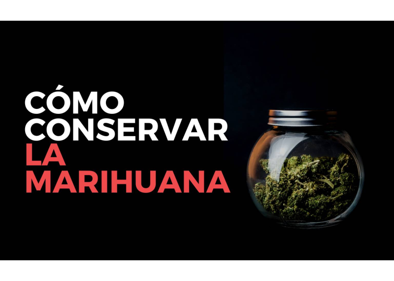 Como conservar la marihuana