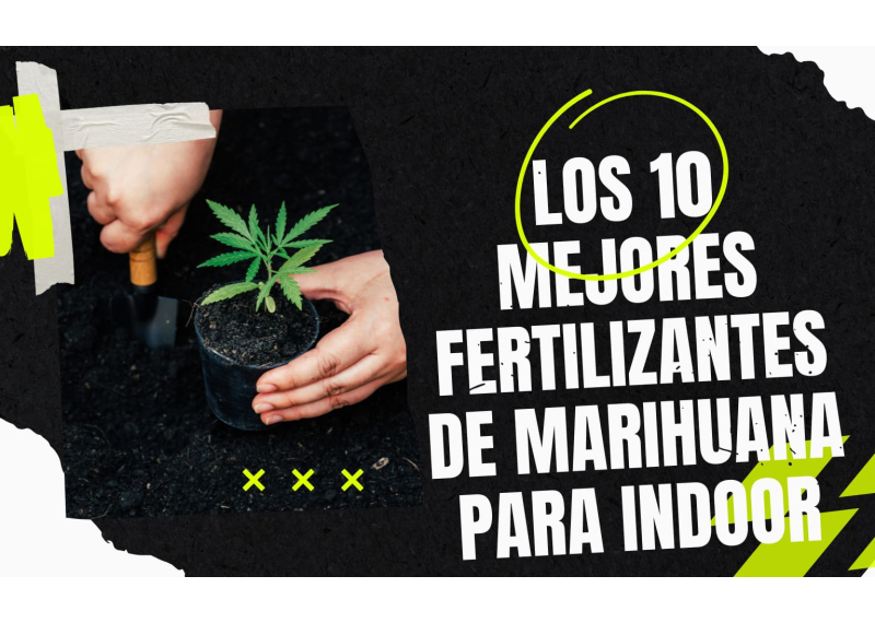 10 mejores fertilizantes para indoor