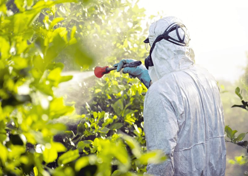 Uso de insecticidas en floración