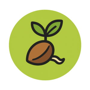 Semillas de marihuana