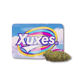 amnesia-cbd-xuxes.jpg