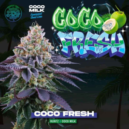 coco-fresh-runtz-x-coco-milk2.jpg