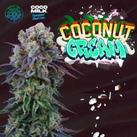 coconut-cream-la-kush-cake-x-coco-milk1.jpg