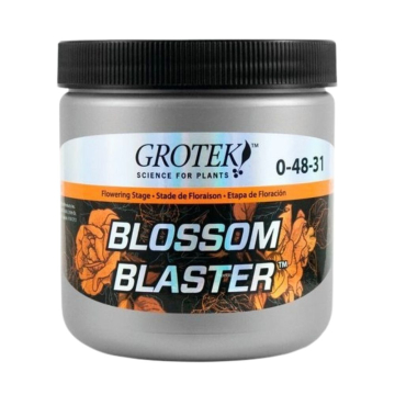 blossom-blaster3.jpg