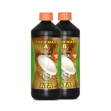 coco-max.jpg