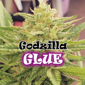 godzilla-glue-dr-underground_2.jpg