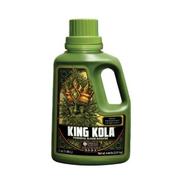 king-kola6.jpg