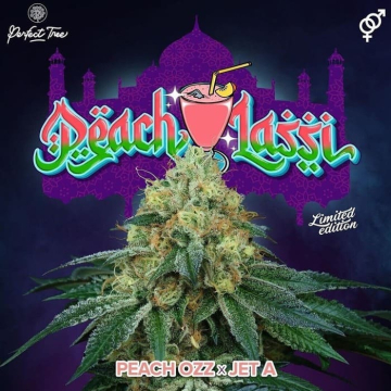 Peach Lassi (Peach Ozz x Jet A)