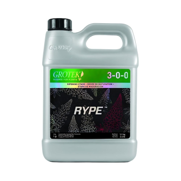 rype-grotek1.jpg