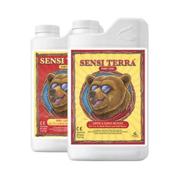 sensi-terra.jpg