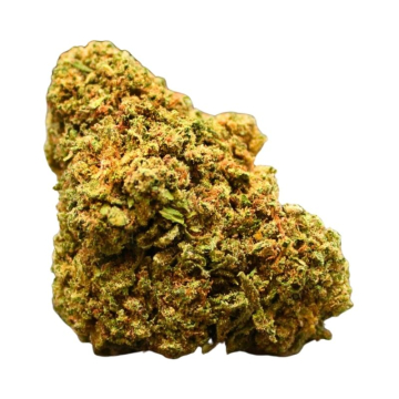 tropicana-x-mazar-flores-cbd.jpg