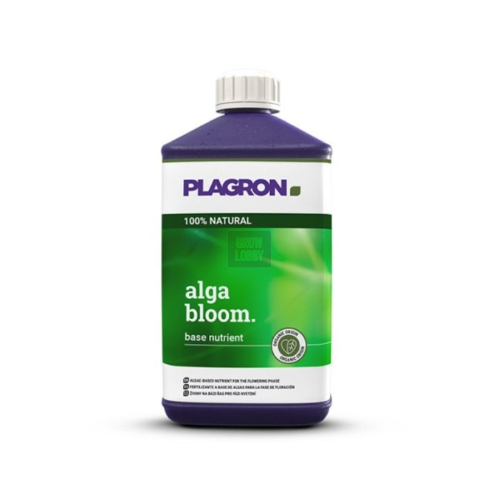 alga-bloom_1_.jpeg