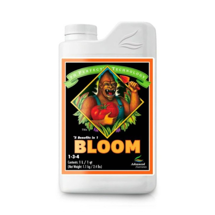 bloom-ph-perfect1_1.jpg