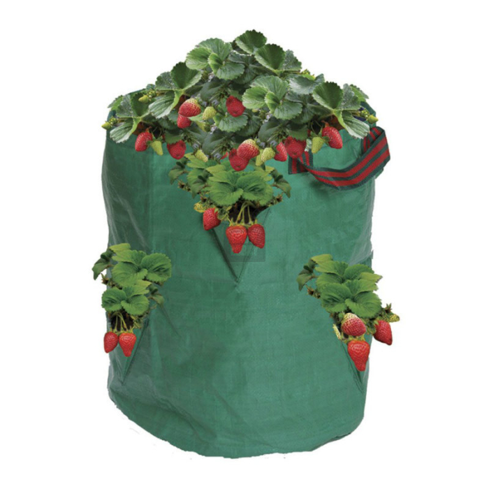 bolsa-contenedor-cultivo-fresas-y-hierbas_1.jpg