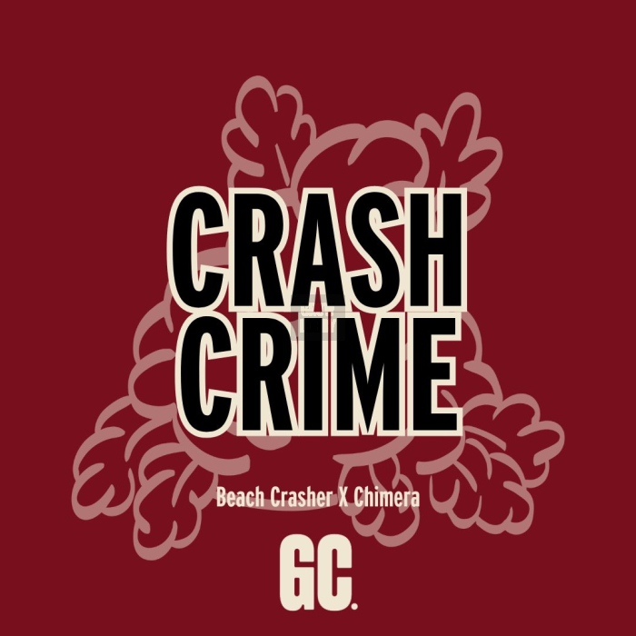 crash-crime-feminizada-grand-cru-genetics_1_.jpg