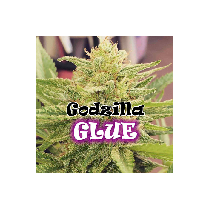 godzilla-glue-dr-underground_2.jpg