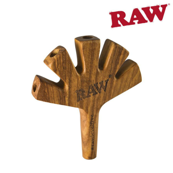 raw-pipa-madera-level-5-2.jpg