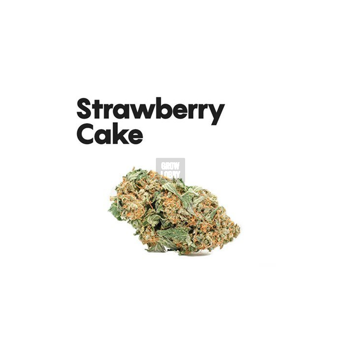 strawberry-cake_cbd.jpg