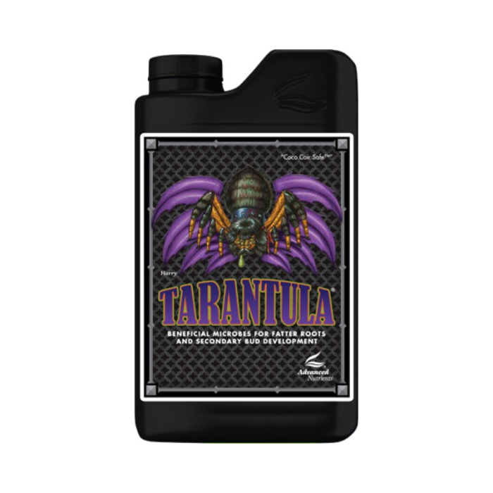 tarantula_1.jpg