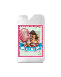 bud-candy2.jpg