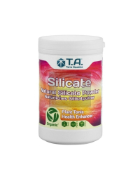 silicate-mineral-magic-ghe.jpg