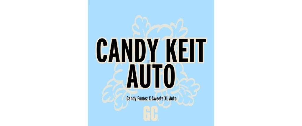 Candy Keit Auto